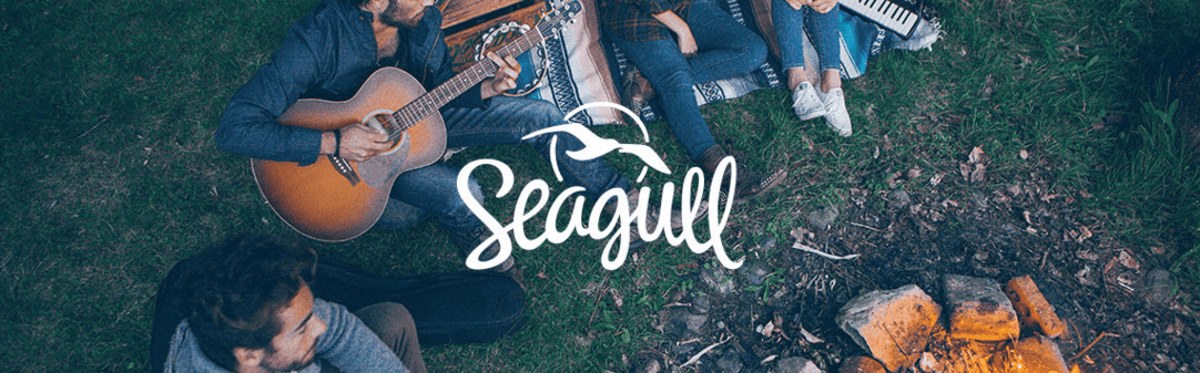 Seagull guitars outlet near me